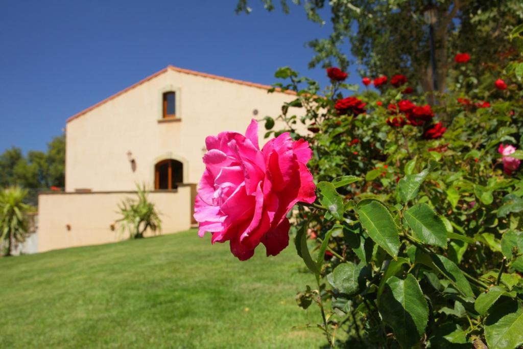 B&B Le Ginestre Cefalù Buitenkant foto